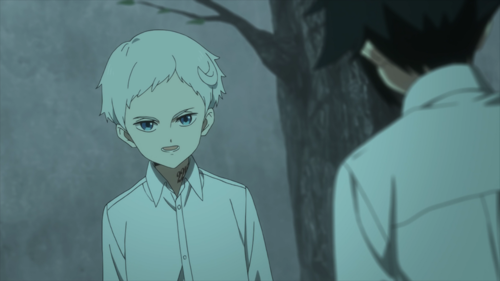 How Many Episodes Will Season 2 of The Promised Neverland Have? - How Many Seasons Does Promised Neverland Have