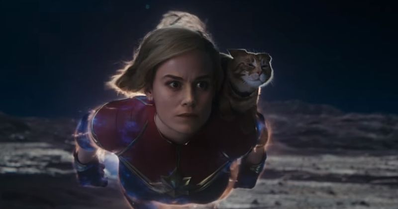 I was also very annoyed': Captain Marvel 2 Director Nia DaCosta on That  Cringe All Female Scene in Avengers: Endgame - 'Two hours of this?  Please' - FandomWire