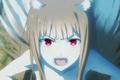 spice and wolf episode count holo