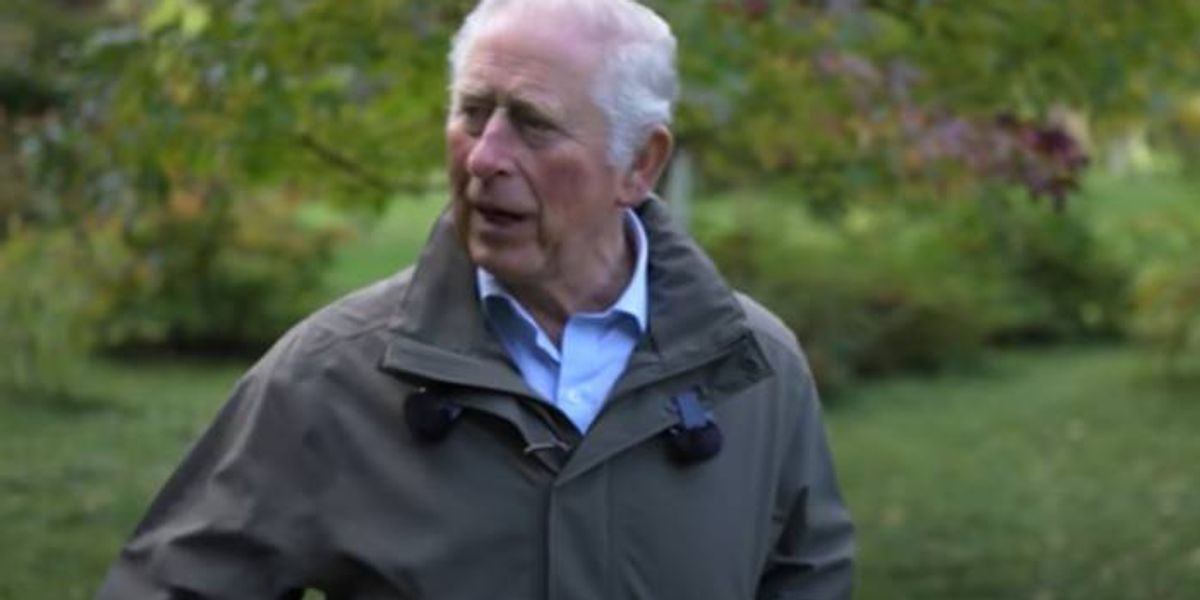 prince-charles-heartbreak-prince-harry-could-create-embarrassing-situation-in-his-upcoming-memoir