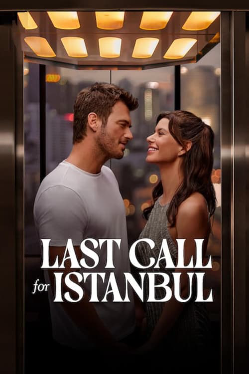 Last Call for Istanbul poster