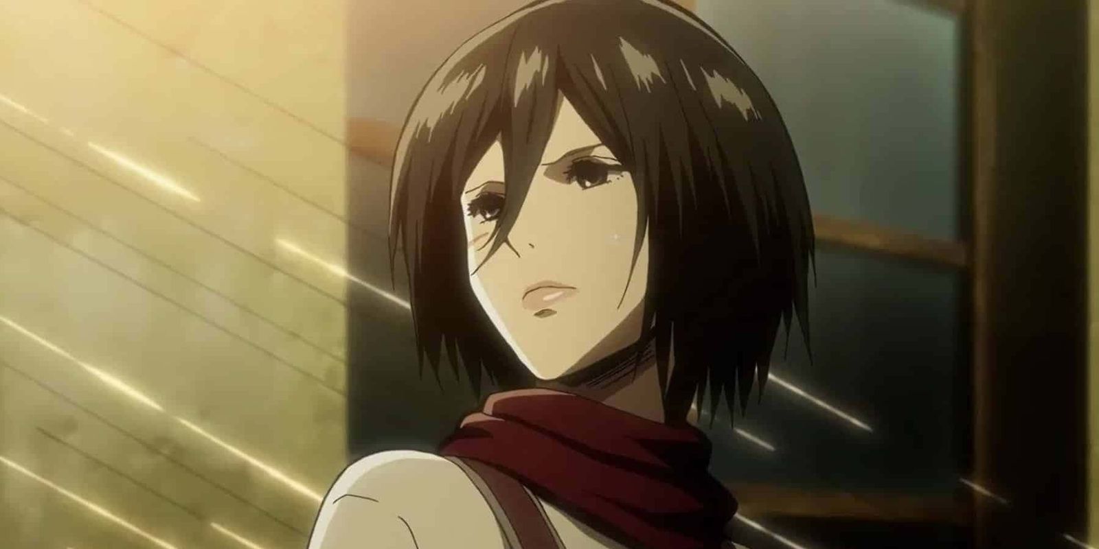 Attack on Titan Mikasa Complete Worth Watching