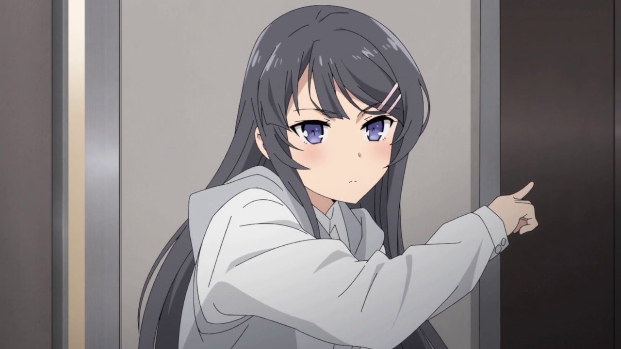 Adolescence Syndrome  Seishun Buta Yarou wa Bunny Girl Senpai no Yume wo  Minai Wiki  Fandom