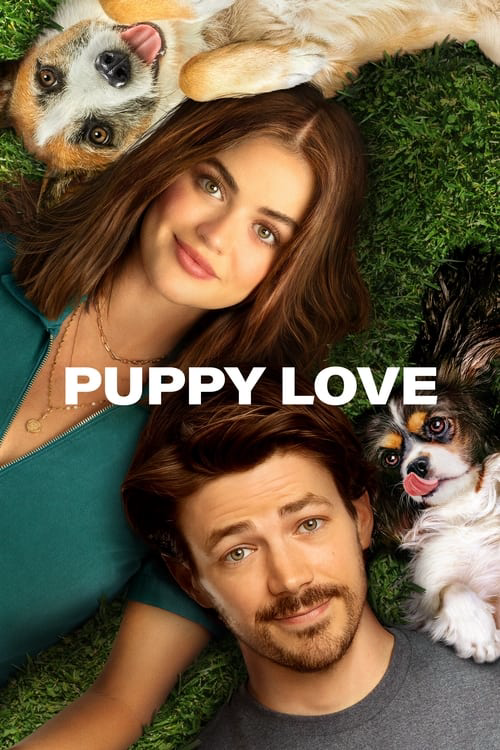 Where to Watch and Stream Puppy Love Free Online