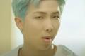 bts-rm-lands-emcee-role-in-tv-show-the-dictionary-of-useless-human-knowledge