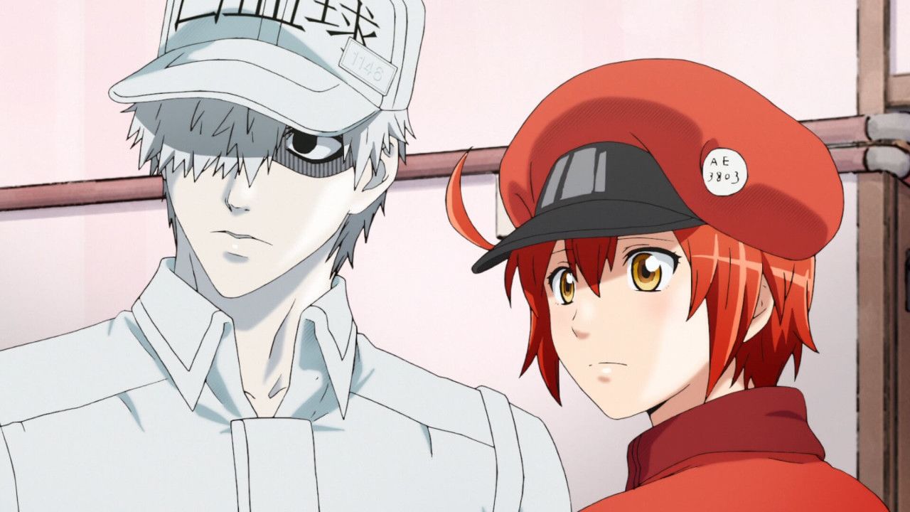 Amazon.com: Anime Cells at Work! Erythrocite Red Blood Cell Cosplay Costume  Customized (Male L) : Clothing, Shoes & Jewelry
