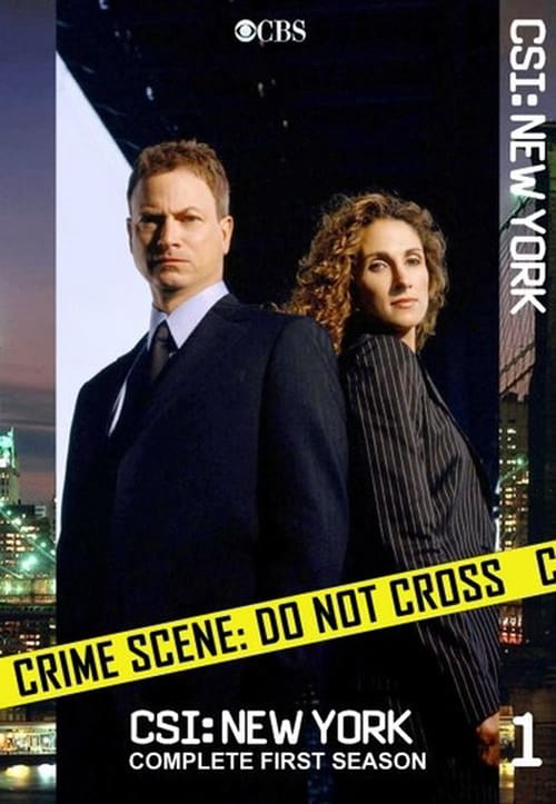 CSI: NY poster