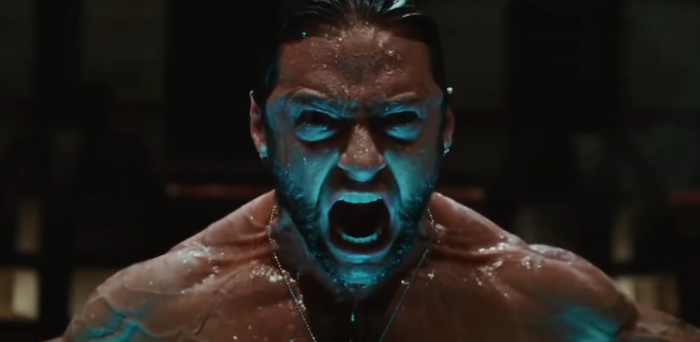 Hugh Jackman as Wolverine in X-Men Origins: Wolverine