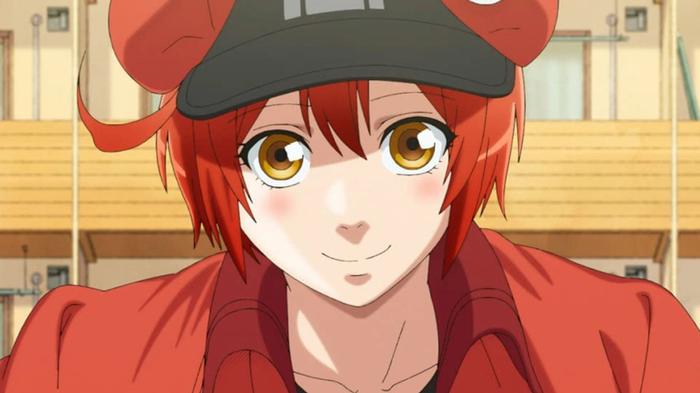 Cells at Work! Cat Red Blood Cell