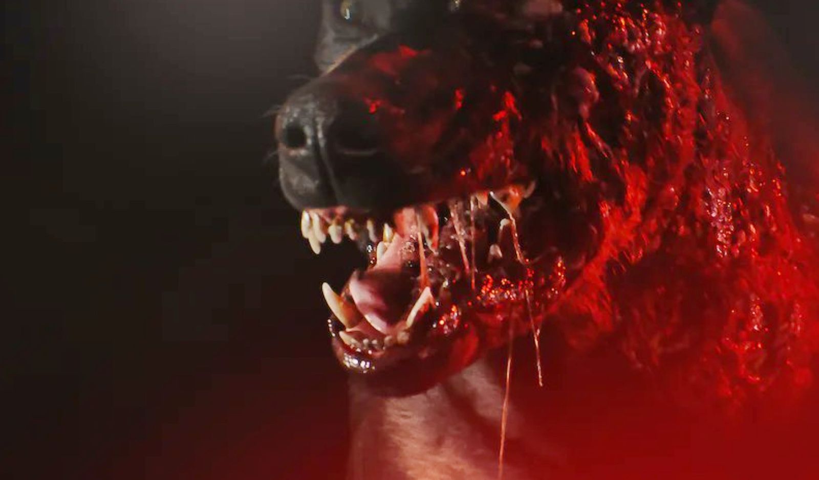 Resident Evil Season 1 monster dog
