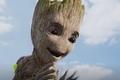 I Am Groot Show: What Happened in Each Episode Explained