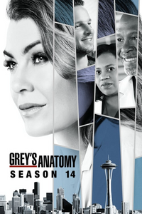 Watch greys anatomy season 15 free 123movies sale