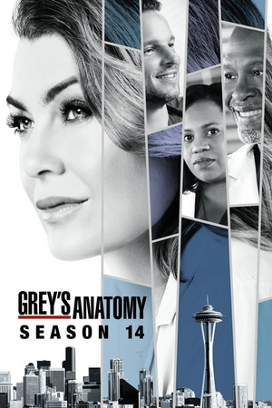 Grey's anatomy season 14 outlet episode 1 watch online free