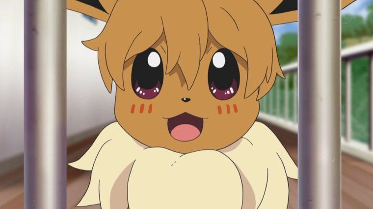 Anime Pokemon Girls Eevee HD Png Download  Transparent Png Image  PNGitem