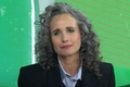 andie-macdowell-net-worth-see-the-life-and-career-of-the-four-wedding-and-a-funeral-star