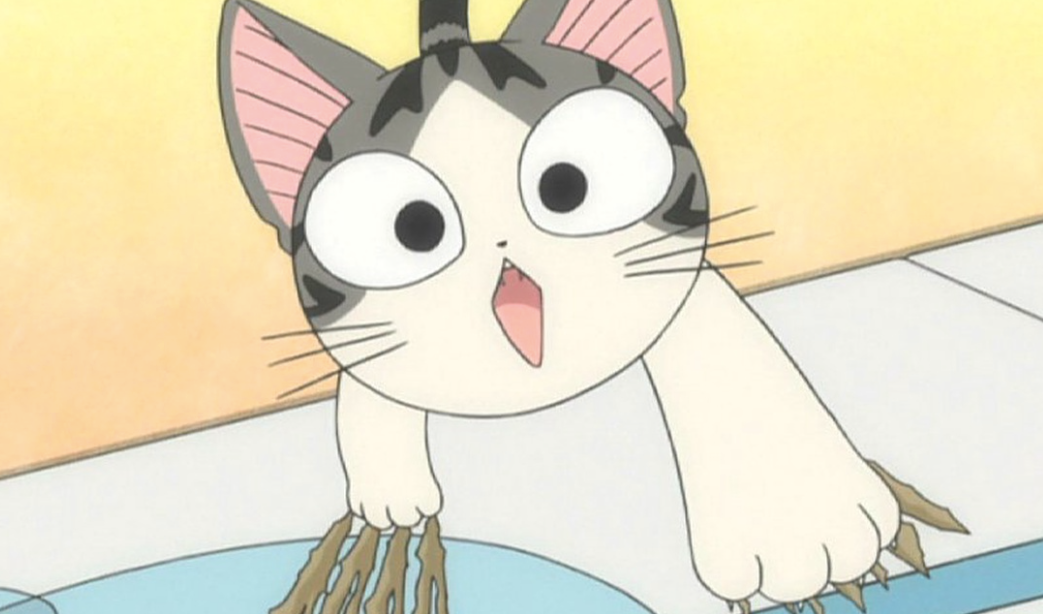 The 10 Best Anime for Cat Lovers!