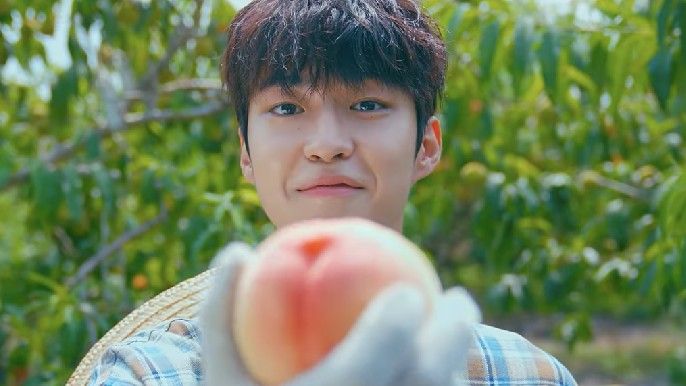 Once upon a small town Choo Young Woo as Han Ji Yool handing out a fruit