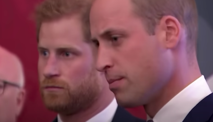 Prince Harry Made A Wrong Move In Harry & Meghan That Could Worsen ...