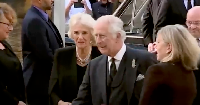 King Charles, Queen Consort Camilla's Alleged Love Child Had Eye Color ...