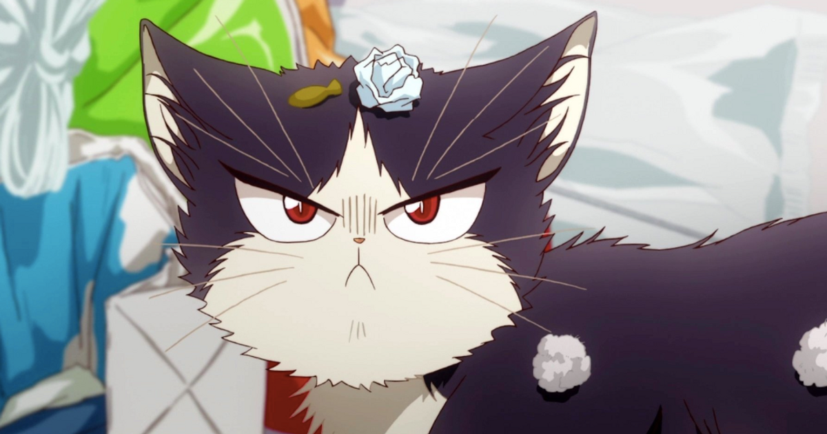 The 10 Best Anime For Cat Lovers!