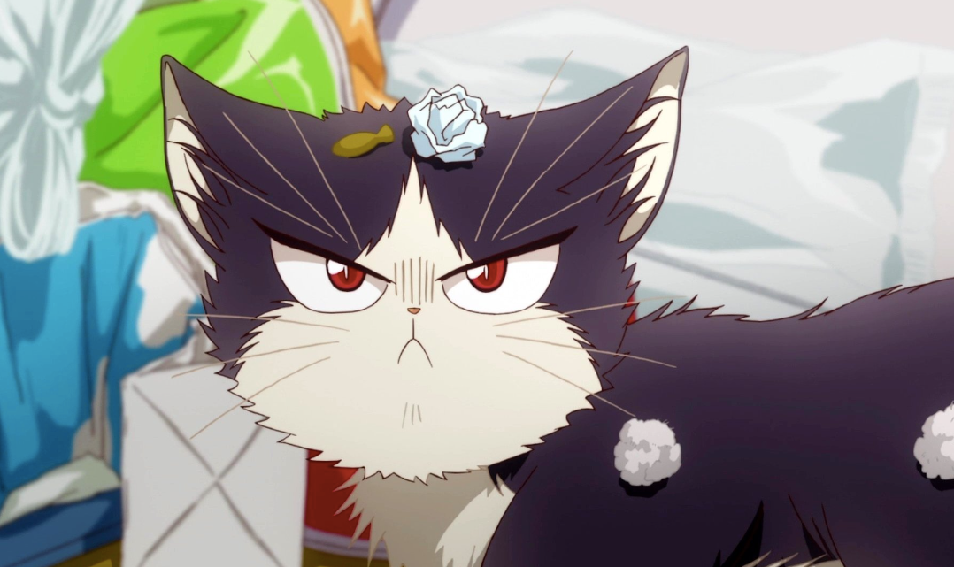 The 10 Best Anime For Cat Lovers!