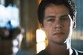 Where to Watch and Stream All The Maze Runner Movies Free Online